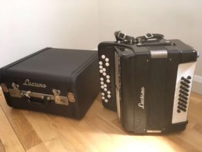 Luciano - 35key/28 Free Bass B-Griff Classical Accordion