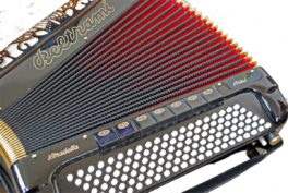 Romano Viazzani's latest Spotify Playlist - 21st Century Accordion