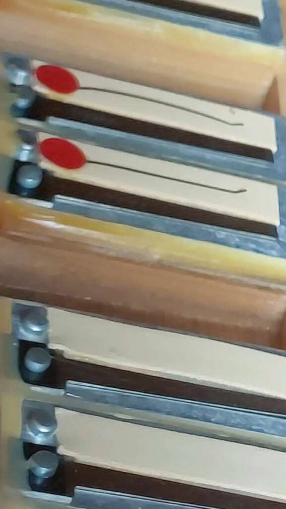 Pigini 37-key 11-1200 Pigini 37-key 120 bass